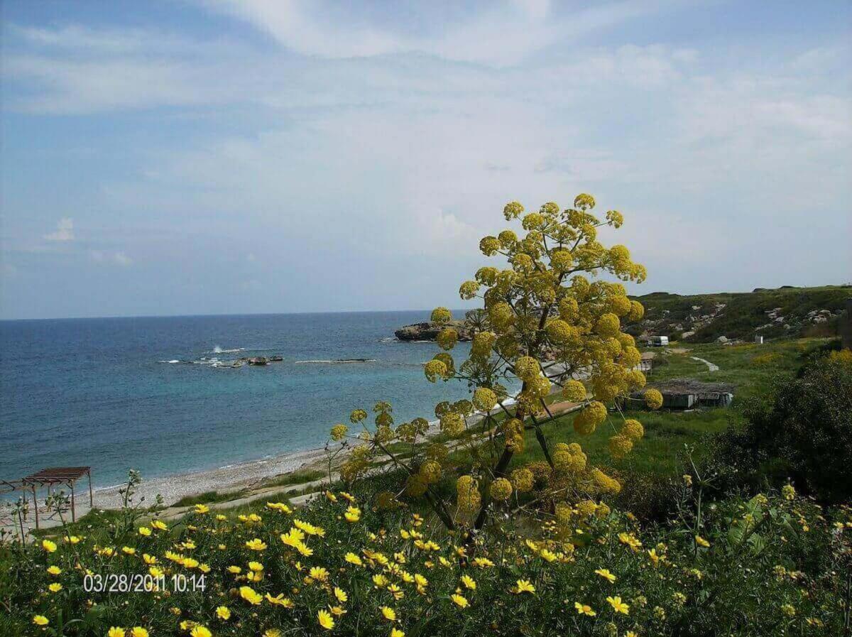 Marina Apartment B 16 - Tatlisu Trnc Akanthou Exterior foto